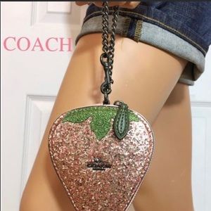 Coach strawberry chain coin purse